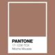 Mocha Mousse : a cor do ano 2025 pela Pantone